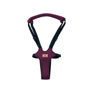 Lorelli kaiševi za prohodavanje Purple